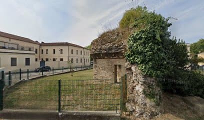 Area Cani Beato Pellegrino