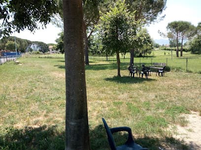 Area Cani Casale