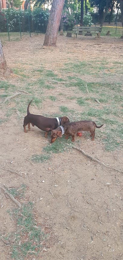 Area Cani Di Colline