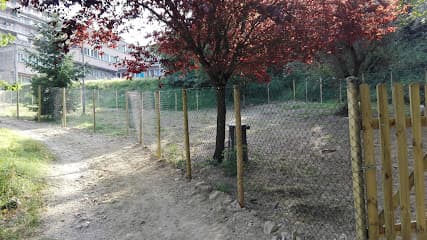 Area Cani Via Torelli