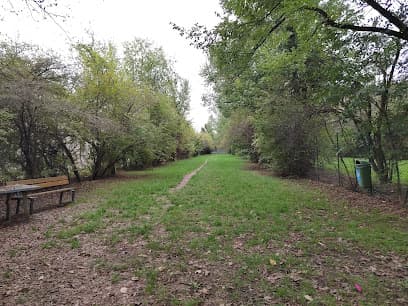 Area Parco Cani Baggiovara