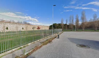 Area Sgambatura Cani Villa Glori