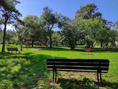 Area cani Villa Carsia