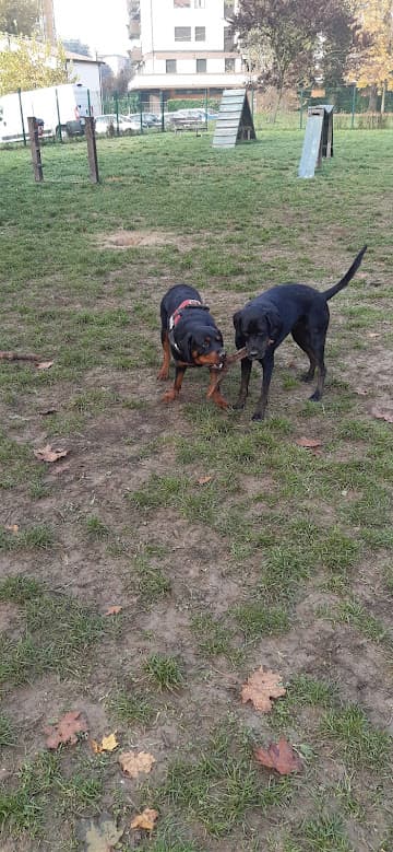 Area cani nel giardino del Ginkgo