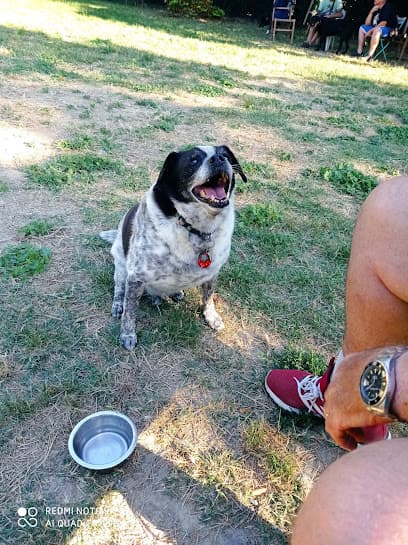 Area di sgambamento cani Ravenna