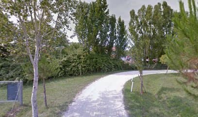 Area di sgambamento cani Ravenna