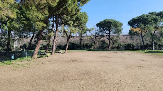 Area di sgambamento per cani