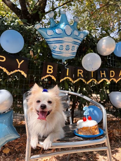 Area per cani di Mezzana