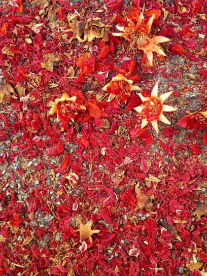 Area sgambamento cani - Via Cortivo