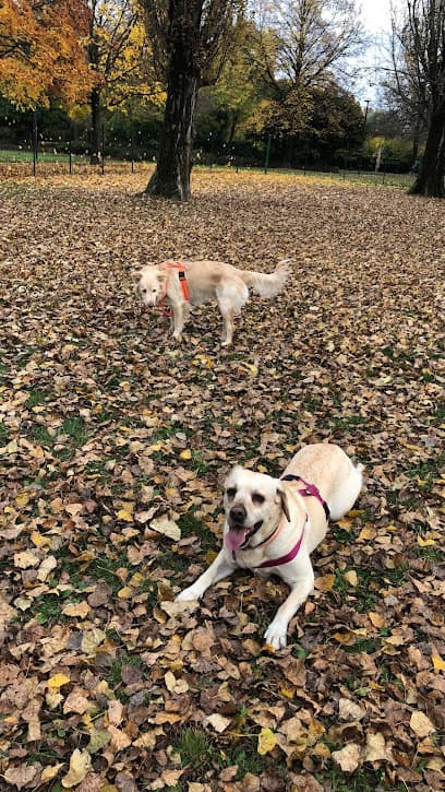 Area sgambamento cani nel Parco Iris