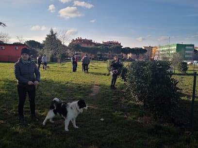 Area sgambatura cani