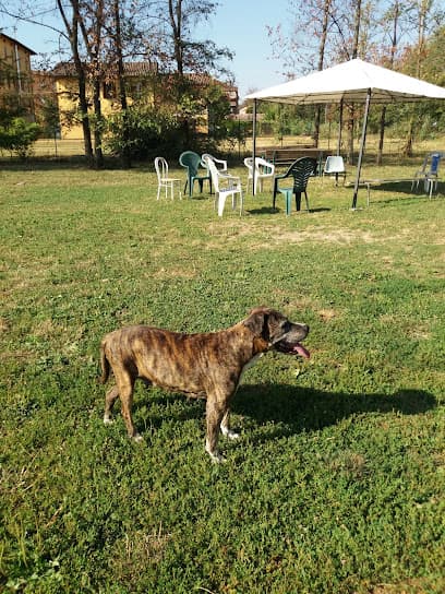 Campo Cani Torrenova