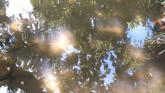 Giardino Pubblico Muzio de Tommasini