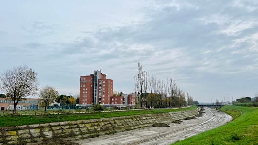 Il campo libero dei cani