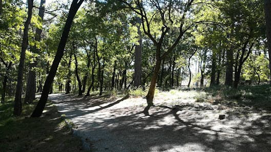 Parco Ferdinandeo