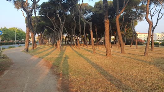 Parco Pier Paolo Pasolini