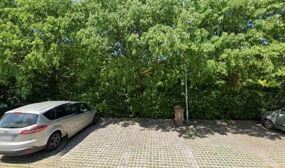 Parco Sgambatoio per cani