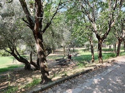 Parco della Pescaia