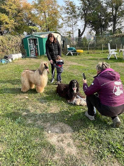 Porko Gatto Scuola Cinofila ASD