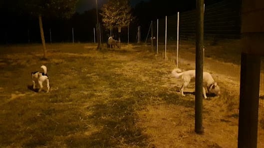 Sgambatoio Cani di Via Parri