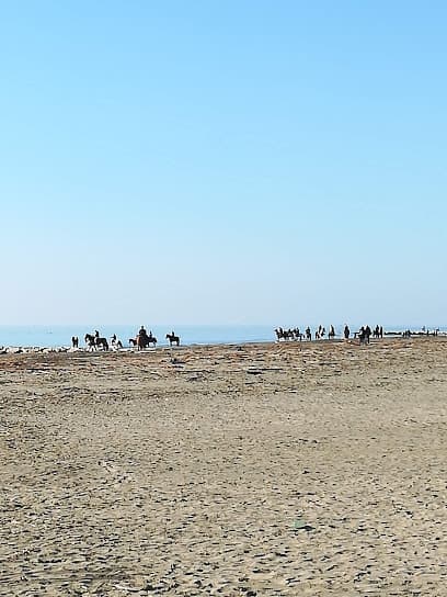 Spiaggia Libera di Latina