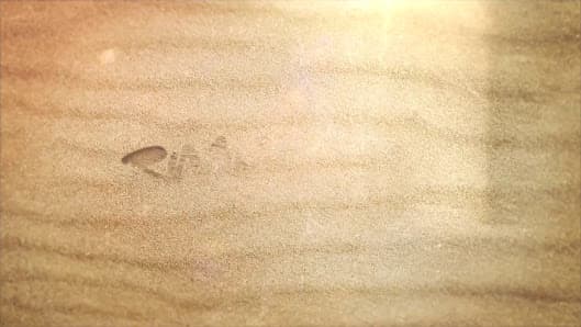 Spiaggia per cani a Rimini - Rimini Dog No problem