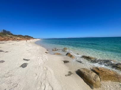 Spiaggia per cani domestici