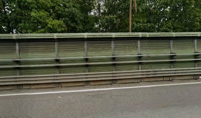 parco pubblico con area cani