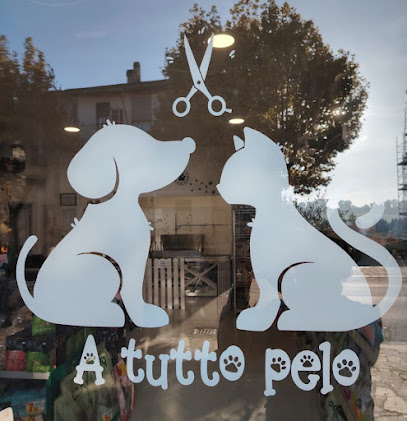 A TUTTO PELO