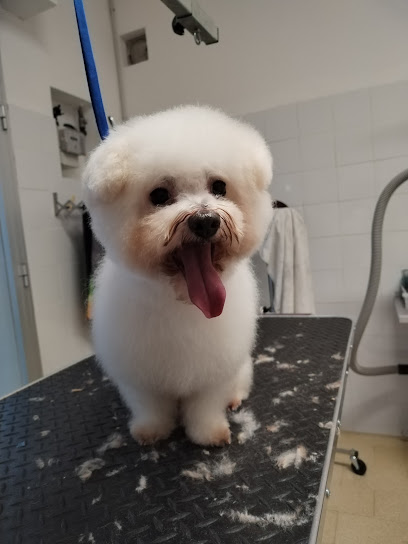 A tutto Pelo - Toelettatura