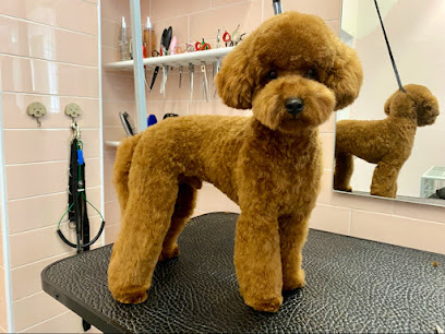 Almamia Toelettatura Boutique