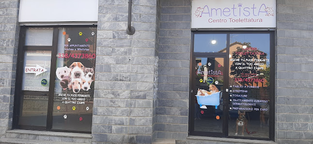 Ametista Centro Toelettatura
