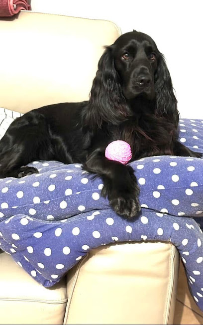 Amici a Quattro Zampe