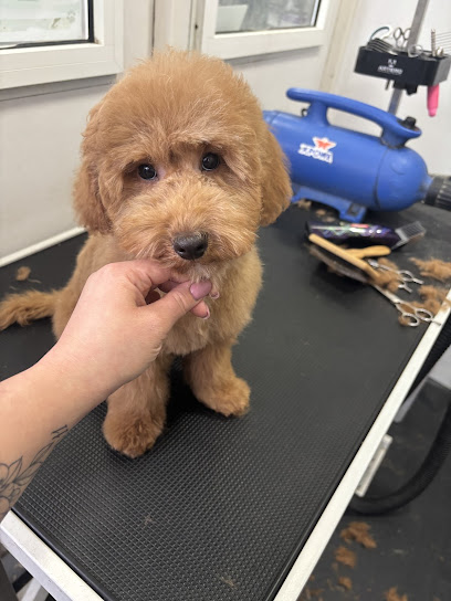 Amore Puro Latina Toeletta