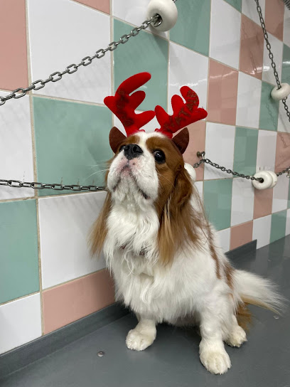 Animal House Di Cavina Gabriele