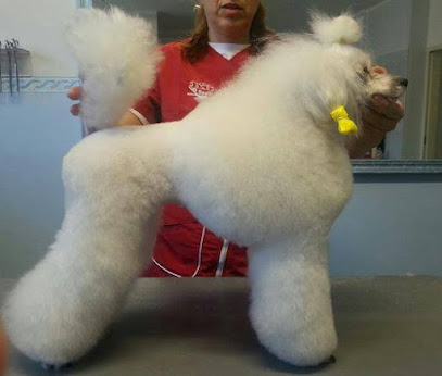 Animal House Grooming