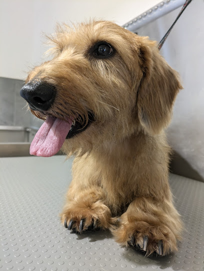 Animal fashion paradise