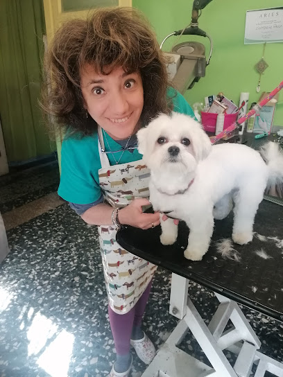 Animal's Club di Comoglio Paola