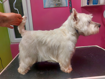 Animalandia Grooming Spa Parma