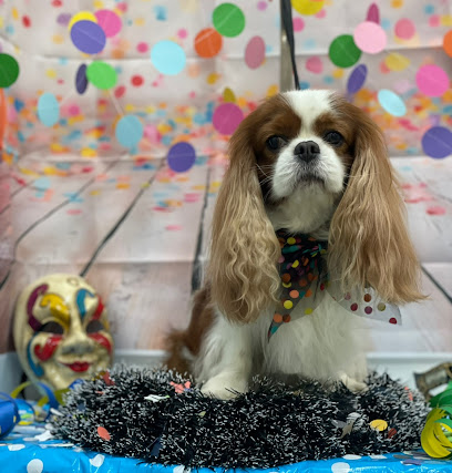 Anna Simson Grooming Center (ex AreaDog)