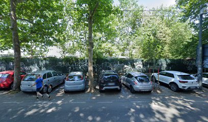 Area Cani - Ancescao