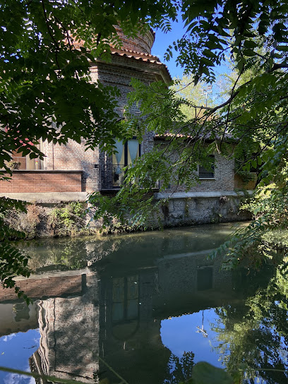 Area Cani - Bertelli