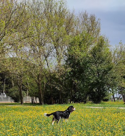 Area Cani - Dog Park