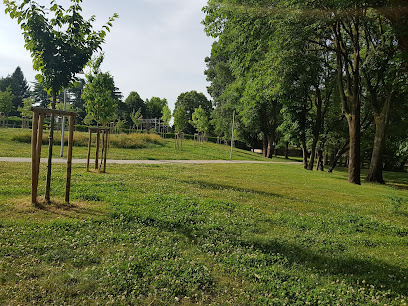 Area Cani - Parco Villa Litta