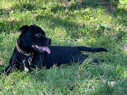 Area Cani - Pellerina