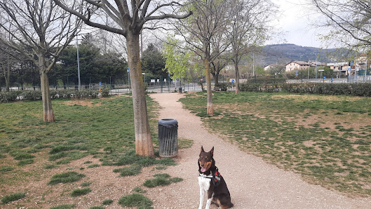 Area Cani - Quinzano