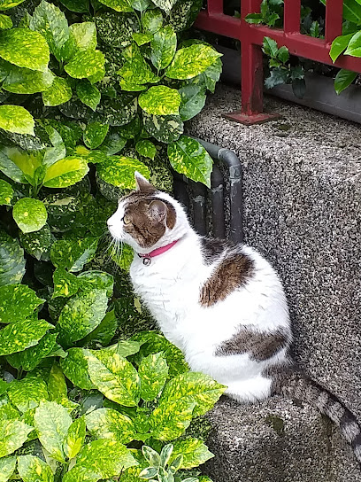 Area Cani - Via Giacosa