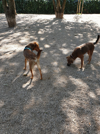 Area Cani - Via S. Vigilio