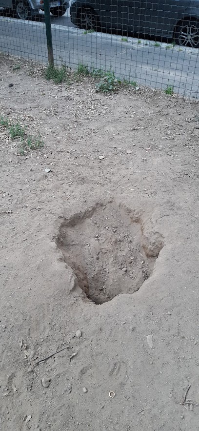 Area Cani - Viale Cirene