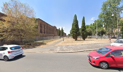 Area Cani Associazione Cani Felici